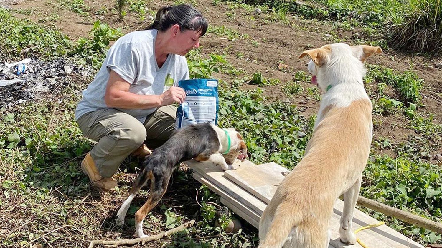 Larken Associates - A Regional Real Estate Leader - Has Volunteer Team Return from Home-Building Mission in Guatemala