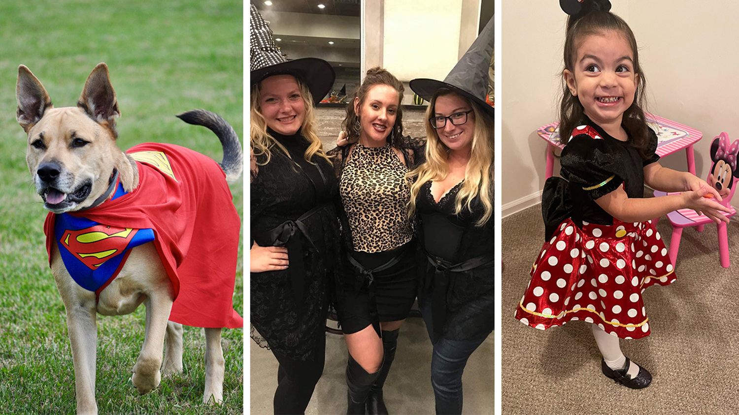 Larken Living Halloween Costume Contest