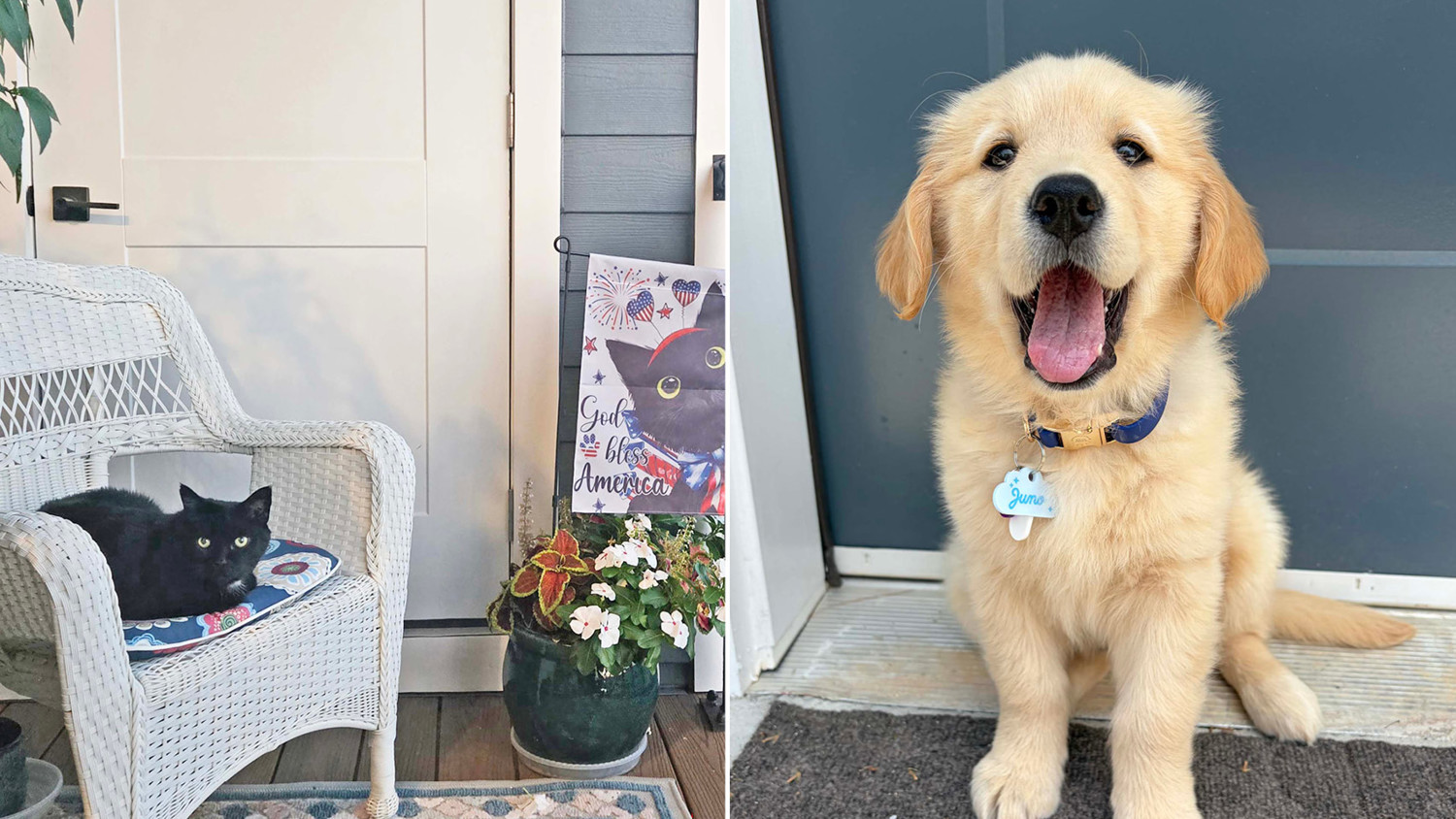 Larken Associates Hosts Annual Bark'n Living Summer Pet Photo Contest at Larken Living Apartment Communities
