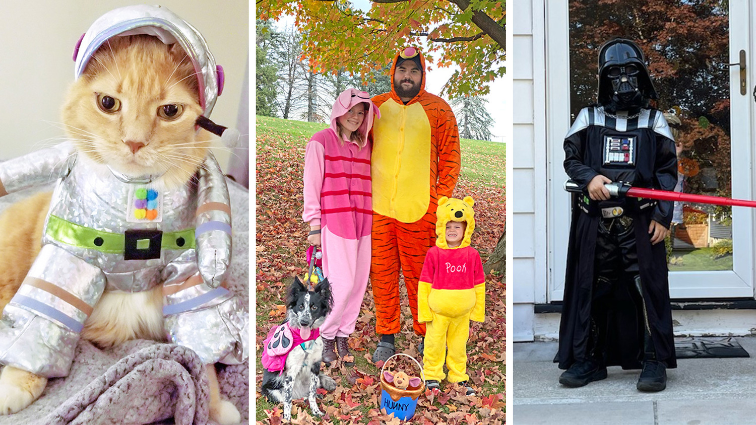 Larken Living Halloween Costume Contest