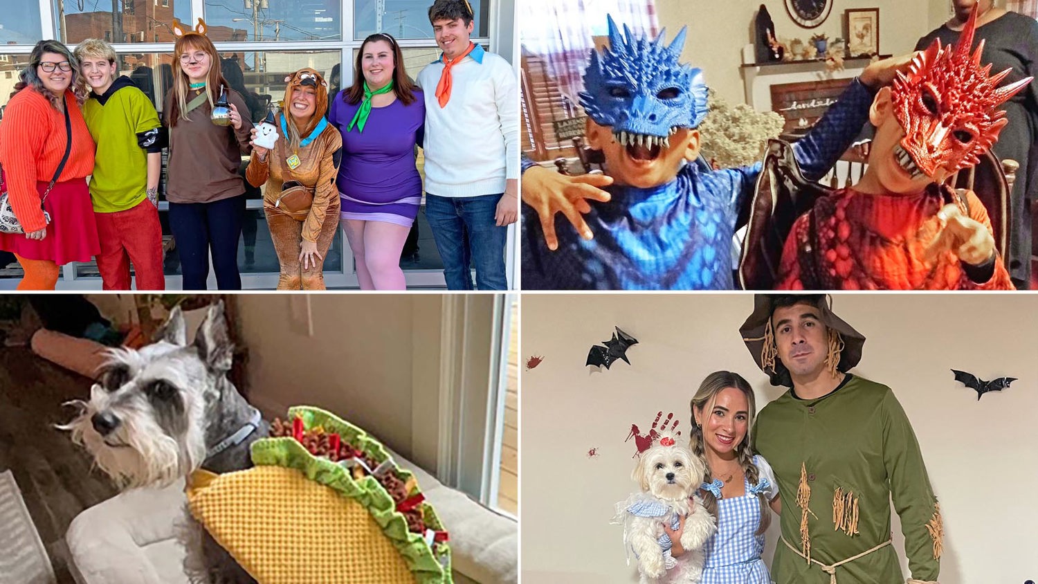 Larken Associates Hosts Annual Halloween Costume Contest Across Pet-Friendly Larken Living Communities