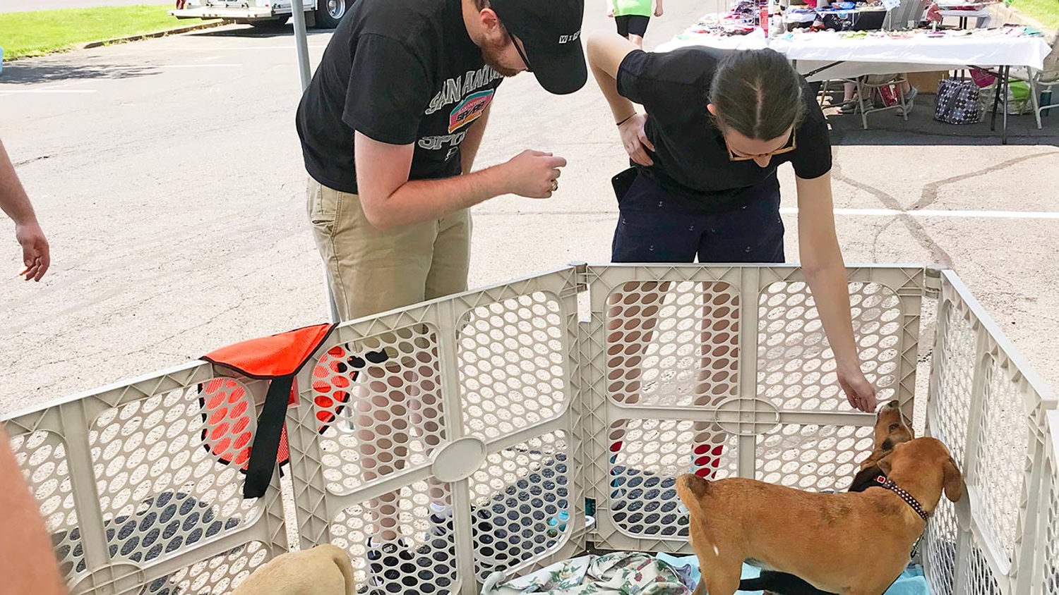 Adopt a Furry Companion at The Hills at Lehigh's First Ever Pet Adoption Event