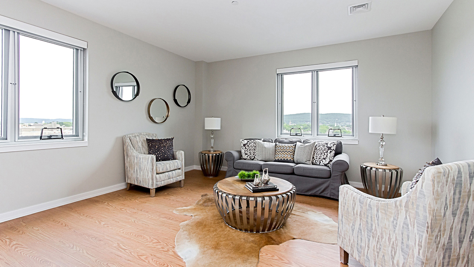 The Pinnacle at 65 Luxury apartment living room in Bethlehem, PA – The Pinnacle @ 65
