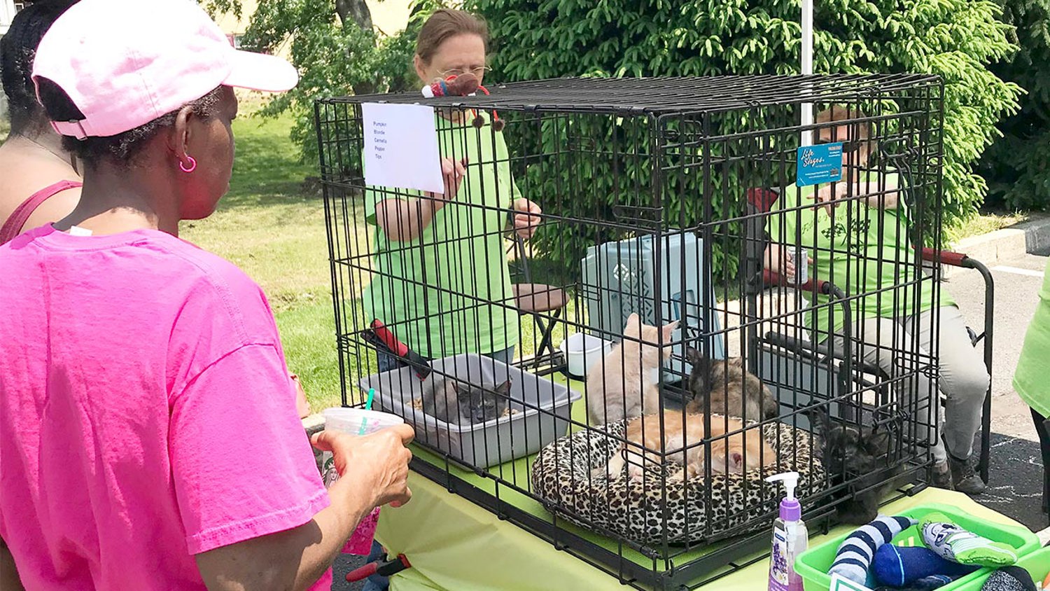 Adopt a Furry Companion at The Hills at Lehigh's First Ever Pet Adoption Event