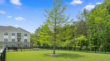 The Ridge at Readington Luxury rentals with dog park in Whitehouse Station, NJ – The Ridge at Readington