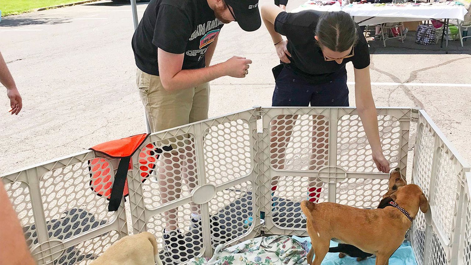 Adopt a Furry Companion at The Hills at Lehigh's First Ever Pet Adoption Event
